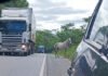 Animais soltos na pista provocam acidente na BR-324, próximo a Novo Paraíso, em Jacobina
